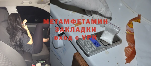 шишки Арсеньев