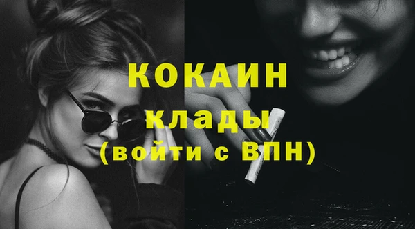 шишки Арсеньев