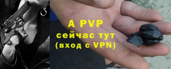 шишки Арсеньев