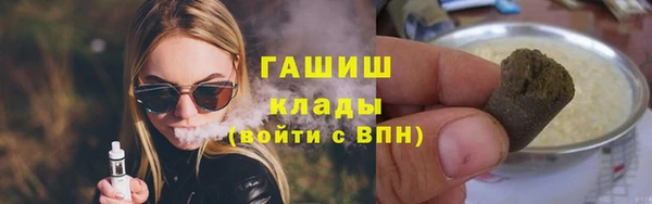 шишки Арсеньев