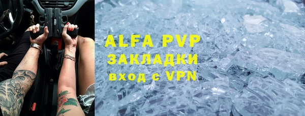 шишки Арсеньев