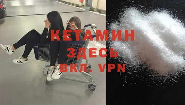 шишки Арсеньев