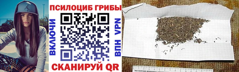 купить наркотики сайты  Темрюк  Псилоцибиновые грибы прущие грибы 